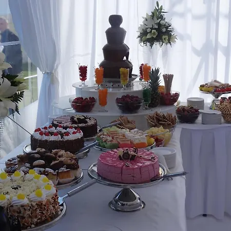 Wityng Hotell Ślesin